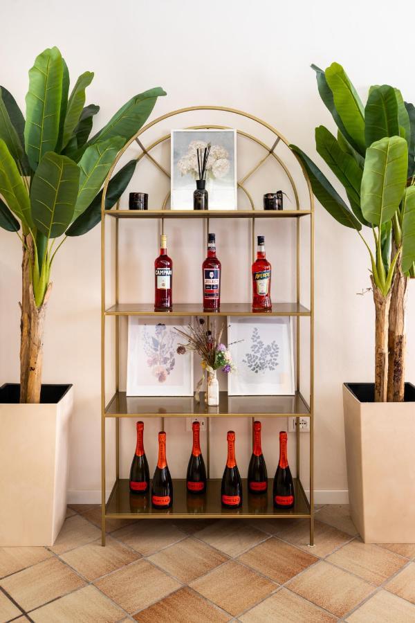 Camelia Venice Mestre